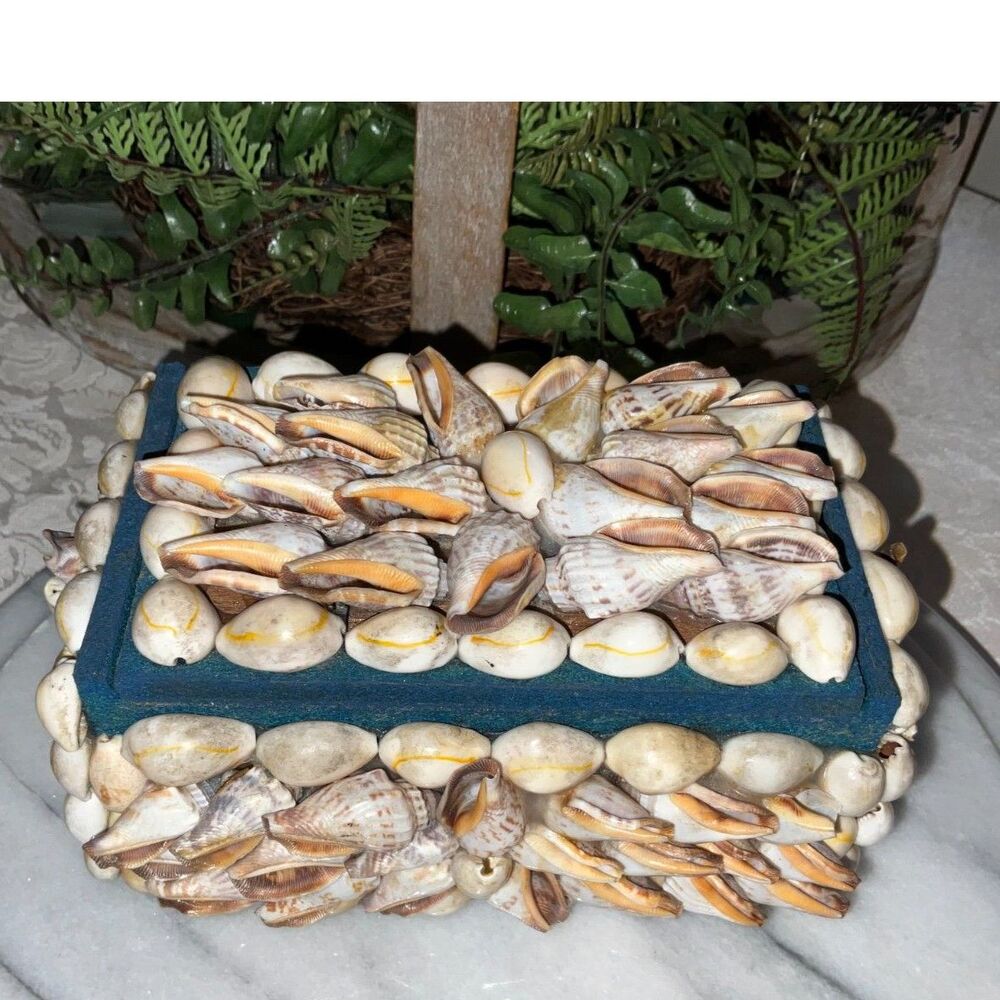 Vintage Seashell Trinket Box; no missing shells Coastal Cottagecore so cute